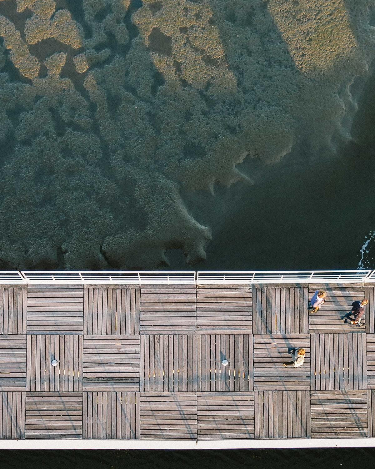 Broadcast Package — Motion Identity